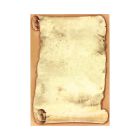 Dyplomy A4 250g Papirus (20)