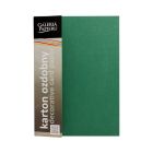 Karton wizytówkowy A4 240g Mika/zielony (20)