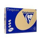 Papier ksero A4 160g brąz/wielbłądzi Trophee 1102