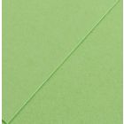 Karton kolor 70x100 pistacjowy Iris224 Canson