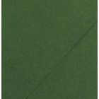 Karton kolor 70x100 ciemnozielony Iris225 Canson