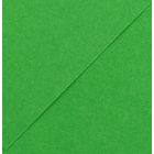 Karton kolor 70x100 jasnozielony Iris223 Canson 240g