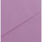 Karton kolor 70x100 liliowy Iris Canson 213