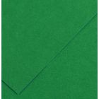 Karton kolor 70x100 zielony Iris 30