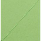 Karton kolor A3 pistacjowy Iris27 Canson