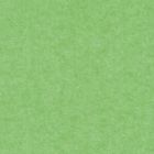 Karton kolor A1 jasnozielony 160g Argo