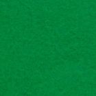 Karton kolor A1 ciemnozielony 160g Argo