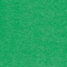 Karton kolor A1 zielony 160g Argo