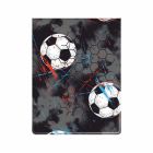 Okładka dokumenty ucznia pionowe Piłki Biurfol