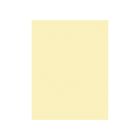 Karton kolor 50x65 kremowy Colorline147 Canson