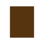 Karton kolor 50x65 czekoladowy Colorline34 Canson