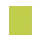 Karton kolor 50x70 jasnozielony 270g HappyColor