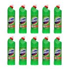 10x Płyn WC 750ml Domestos Pine