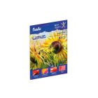 Płótno malarskie blok A4/10 300g Fiorello GR-F0912