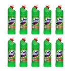 10x Płyn WC 750ml Domestos Pine