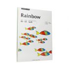 Papier ksero A4 80g mix/intensywny Rainbow (100)