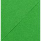 Karton kolor 70x100 jasnozielony Iris223 Canson 240g