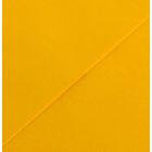 Karton kolor 70x100 złocistożółty Iris212 Canson