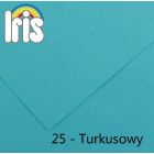 Karton kolor 70x100 turkusowy Iris205 Canson