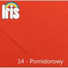 Karton kolor 70x100 pomidorowy Iris453 Canson 240g