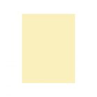 Karton kolor 50x65 kremowy Colorline147 Canson